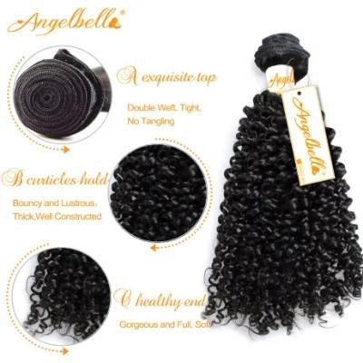 Angelbella Cuticle Aligned Hair Factory Kinky Curl Raw Mink Brazilian Human Hair