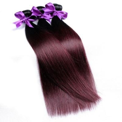 Ombre Brazilian Straight Hair 1b Burgundy Two Tone Human Hair Extension 1b 99j Non-Remy Hair Weave Bundles 10&quot;