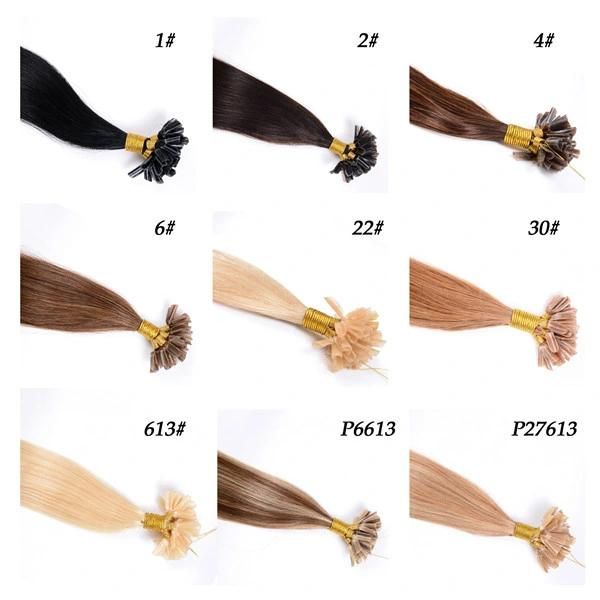 24" 50g Natural Keratin Capsule Prebonded U/Nail Tip Hair Extension U Tip Hair Extensions 5 Colors Available100s/Bag