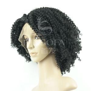 100% Human Hair Wig (kinsofa 43432)
