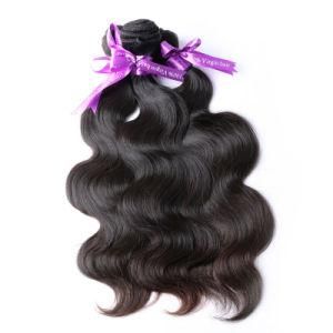 No Shedding No Tangle 100% Virgin Human Hair Extensions