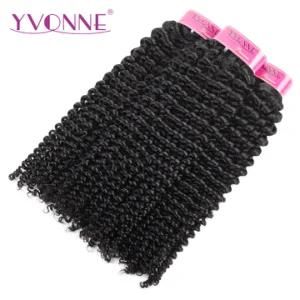 Hot Sellers Kinky Curly Hair Virgin Brazilian Hair Weave 100 Human Hair