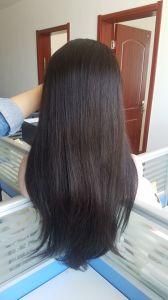 Wholesale Peruvian/Brazilian Unprocessed Human Hair of Mink Straight 360 Lace Wig