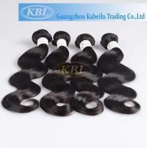 Malaysian Human Hair 100% Virgin Hair