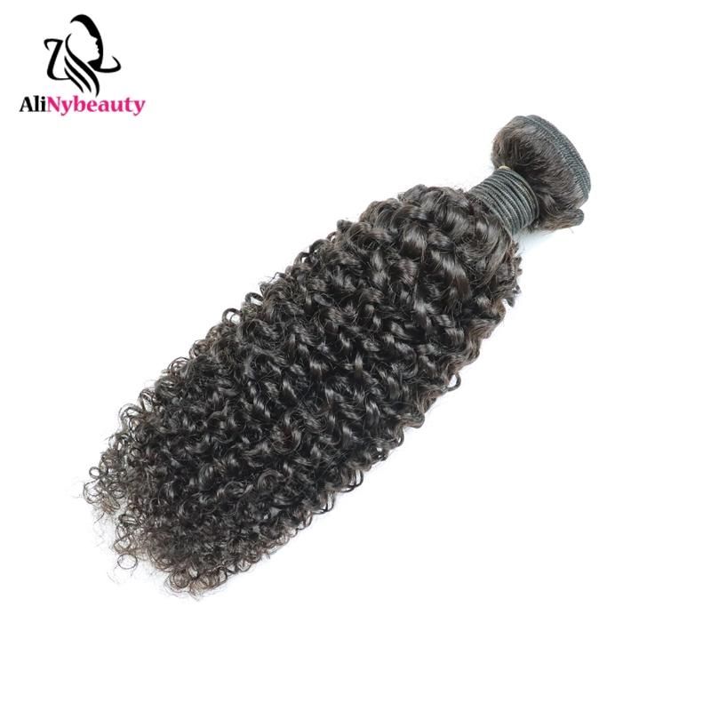 Alinybeauty Wholesale Raw Mink Brazilian Hair Unprocessed Virgin, Cuticle Aligned Indian Hair, Jerry Curly Cuticle Aligned Virgin Human Hair