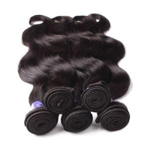 Raw 100% Human Virgin Brazilian Cuticle Aligned Hair Weave