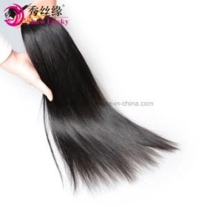 Long Hair Malaysian Human Hair Extension Young Donor Remy Hair Bulk Braiding Hair Straight