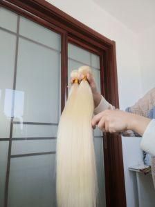 High Quality Human Brazilian Virgin Hair of Blond Color Straight Hair Weft