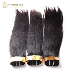 Raw Virgin Cuticle Aligned Vendors Peruvian Human Hair