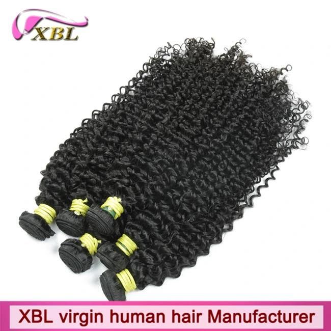 Xbl Top Sale Curly Virgin Remy Human Hair Extension