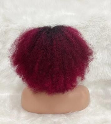 Wholesale 100% Brazilian Virgin Human Hair Wigs with Lace Frontal