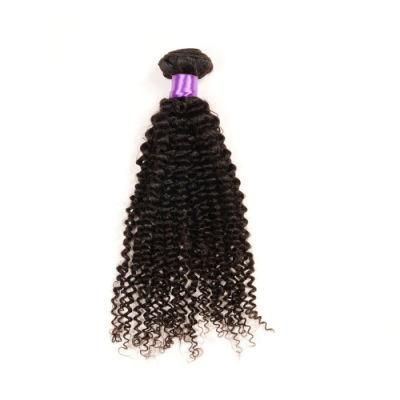 Virgin Remy Hair Kinky Curly Human Hair Extensions for Black Women