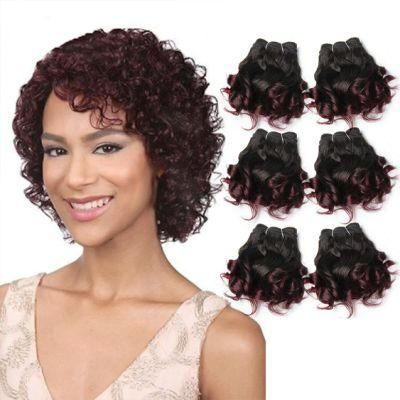 Curly Human Hair Bundles 100% Human Hair Bundles Brazilian Hair Weave Bundles Color Curly Hair