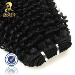 100% Natural Indian Human Hair Price List, Indian Human Hair, Raw Unprocessed Virgin Indian Hair