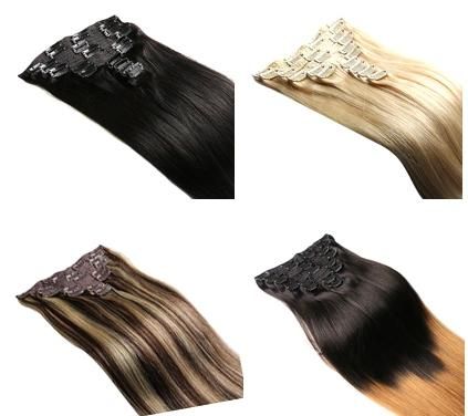 Brazilian Ombre Hair Clip on Extension