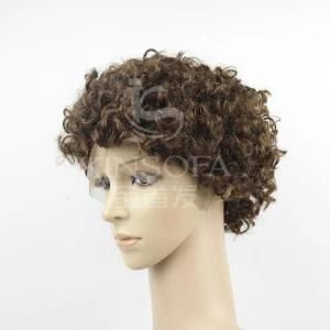 Top Grade 100% Human Hair Wigs (Kinsofa 247910)