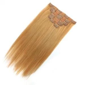 Indian Straight 27# Clip-in 100% Human Hair