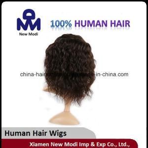 Yaki Fashion Human Hair Full Lace Wig