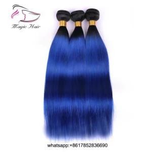 Wholesale Human Virgin Hair Brazilian Iaian Human Peruvian Straight Hair Weft Extension 1b/ Blue Hair