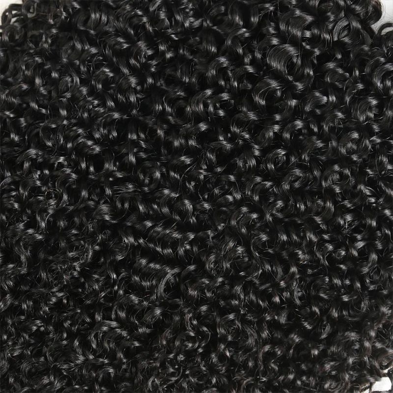Cheap Virgin Brazilian Jerry Curly Weave Human Hair Bundles with Lace Closure