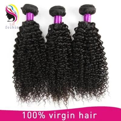 Top Quality Virgin Kinky Curly Mongolianhair Virgin Human Hair