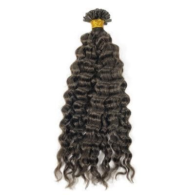 12A Raw Unprocessed U Tip Human Hair Extensions #Black