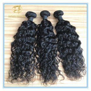 Top Quality Unprocessed Natural Black Deep Curly 8A Grade Peruvian Human Hair in Full Cuticle Cut From One Donor with Factory Price Wfp-042