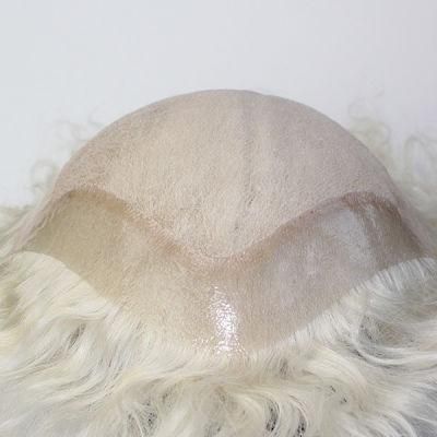 French Lace with PU100% Grey Human Hair Wig