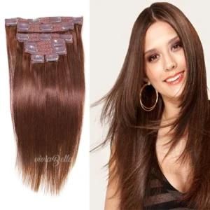 6# Brazilian Straight Clip-in 100% Human Hair