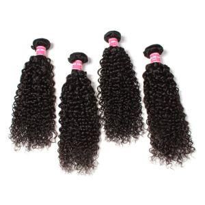 Natural Black Brazilian Virgin Human Hair Bundles Curl Hair Extension