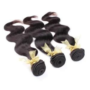 Virgin Cuticle Aligned Manufacturer Remy Hair Extensions