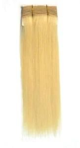 Human Hair Weft