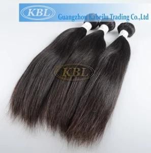 Body Wave Grade 6A Malaysian Human Hair