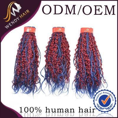 Two Color Synthetic Human Hair Kinky Curl Hair Weaving