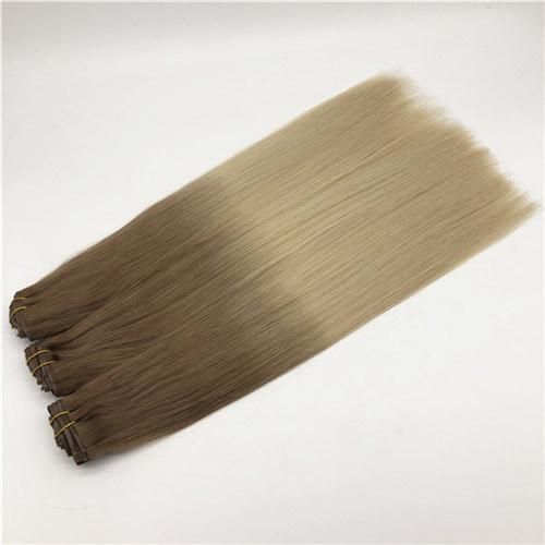 Wholesale Price High Quality Ombre Colour Clip in Hair Extension