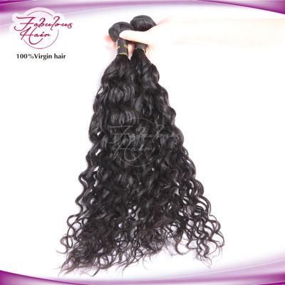 12A Natural Wave Virgin Brazilian Raw Cuticle Aligned Hair