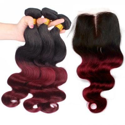 Unprocessed Dyed Easily Remy Human 1b/99j Body Wave with Closure Virgin Hair Body Wave