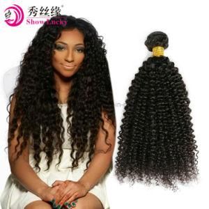 Original Raw Unprocessed Virgin Indian Human Hair Weaving High Quality Remy Kinky Curly Hair Products