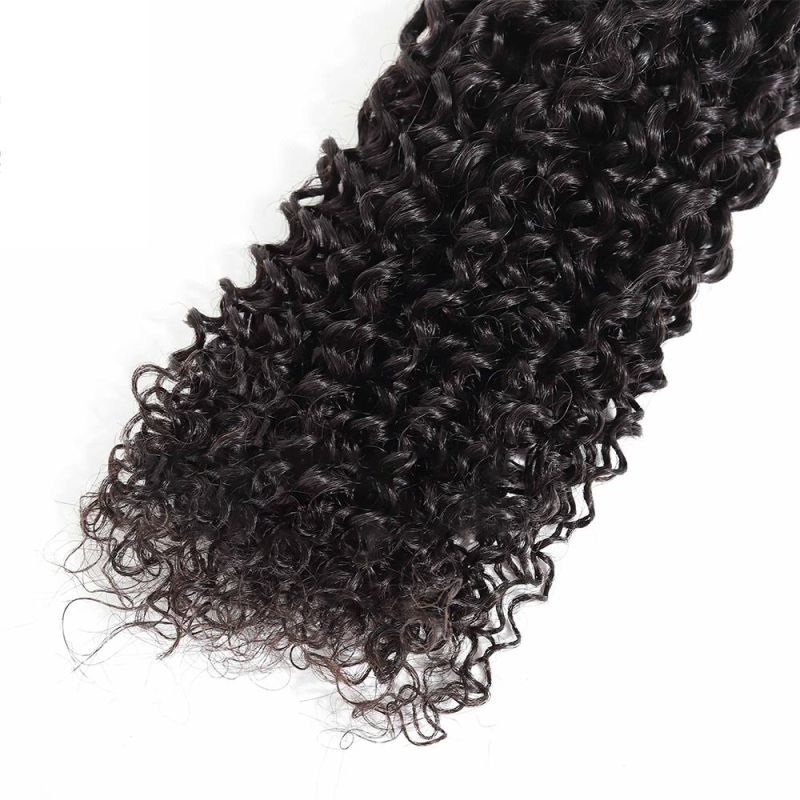 Curly Hair Bundles Processed Hair Bundles Vendors Hair Bundles Wraps