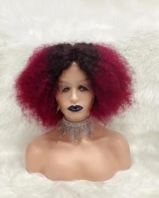 2021 New Arrival Hot Selling Lace Virgin Cuticle Aligned Pre-Plucked Human Hair Wig