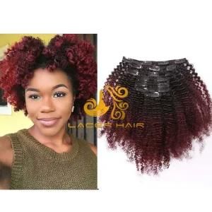 AC99j Red Wine Afro Kinky Curly 8&quot;-26&quot; Remy Human Hair for Clip in Hair Extension in Stock