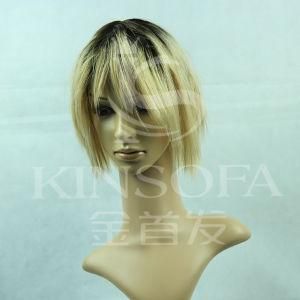 100% Human Hair Wigs