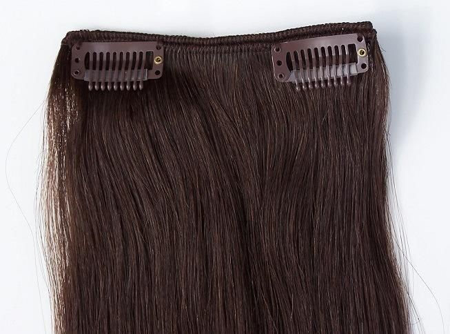 Clip on Hair Extensions Human Hair Clip in Hair Extension (AV-CH010)