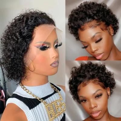 Sulight Brazilian Human Hair Pixie Curly Lace Wig