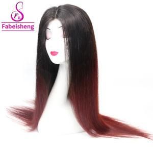Supply Women Human Hair Wigs, Quality Natural Brazilian Human Hair Wig