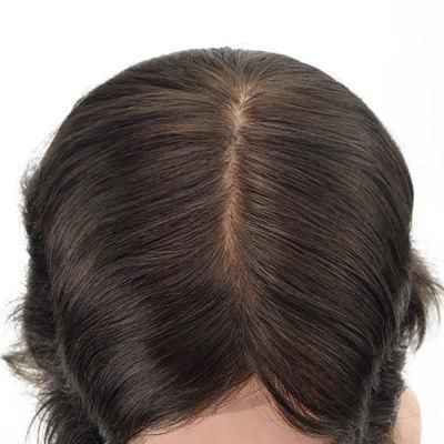 Injected Lace with Injected Skin Back Sides Lace Front Human Hair Wig