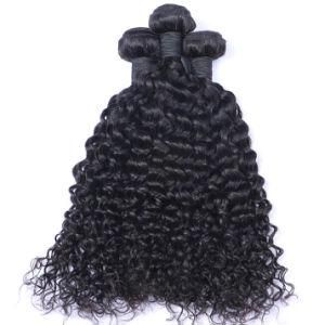 Malaysia Curly 100% Human Hair Weave Bundles Remy Hair Extensions
