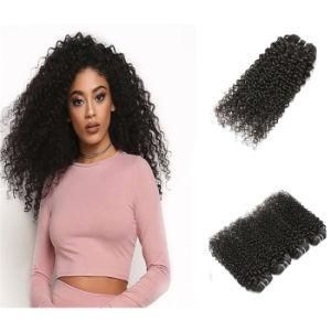 Jerry Curly Ombre Colors Hair Wefts Human Hair Crochet Braids Hot Popular 8-24inch