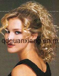 Clip Hair Extension (GX-19)