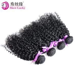 Synthetic Hair for Women Kinky Curly Hair Weaving Double Long Weft Hair Extension Nature Black Pure Color Kanekalon Hair Pieces